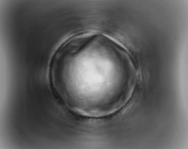 X0000092060292200709262033