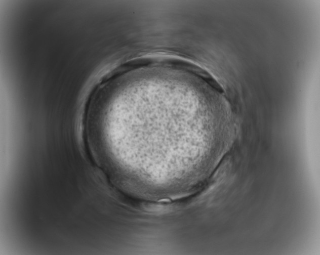 X0000092060293200709262033