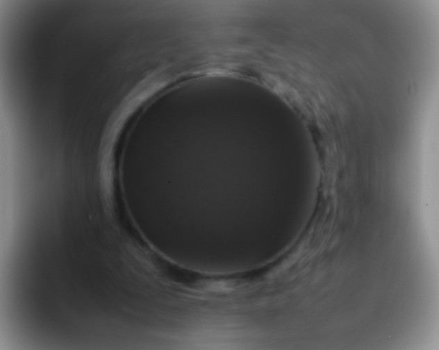 X0000092060295200709262033