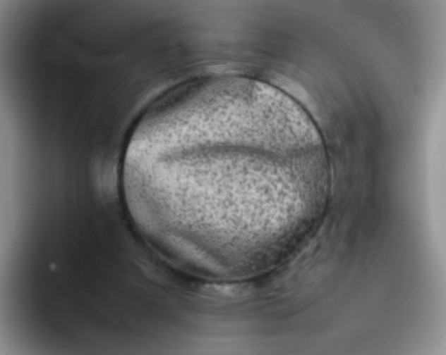 X0000092060297200709262033