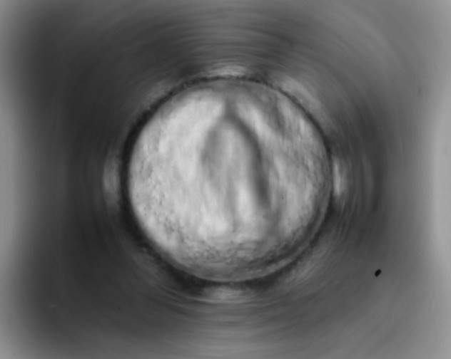 X0000092060300200709262033