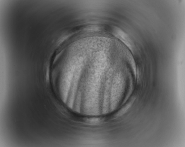 X0000092060301200709262033