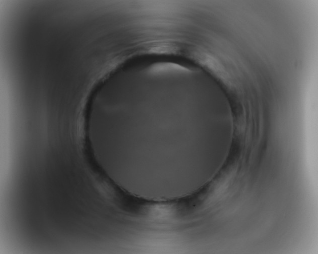 X0000092060303200709262033