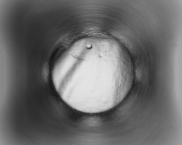 X0000092060304200709262033