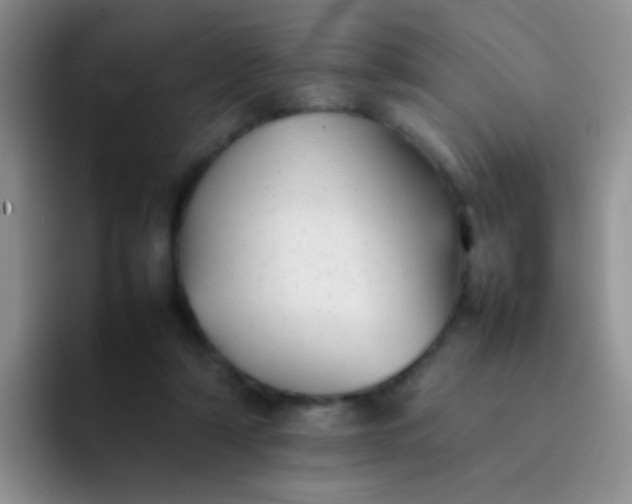 X0000092060306200709262033