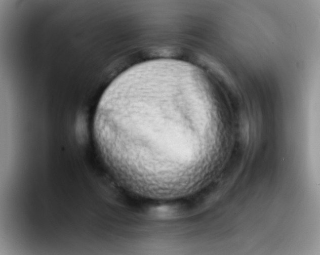 X0000092060312200709262032