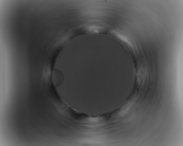 X0000092060314200709262032