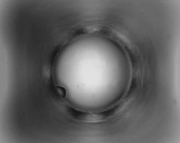 X0000092060315200709262032