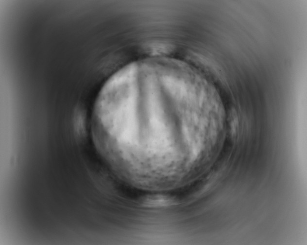 X0000092060316200709262032