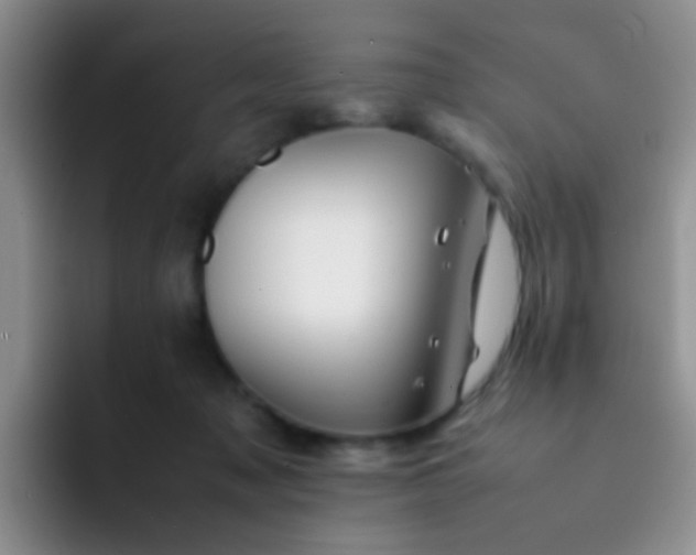 X0000092060317200709262032