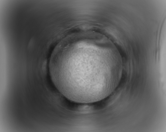 X0000092060319200709262032