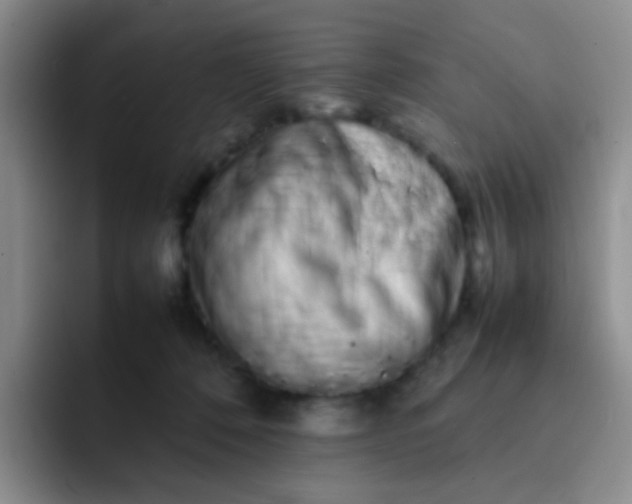 X0000092060320200709262032