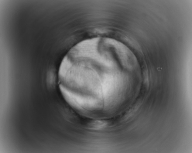 X0000092060328200709262032