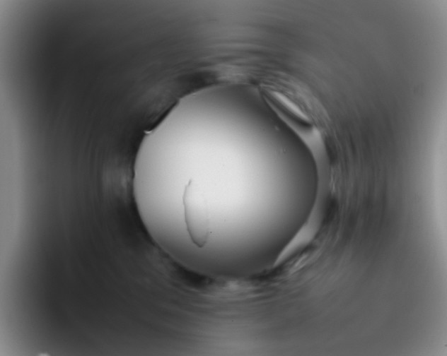 X0000092060329200709262032