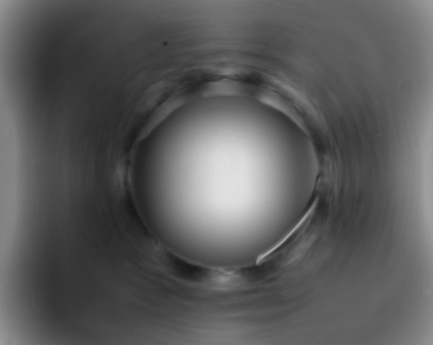 X0000092060333200709262032