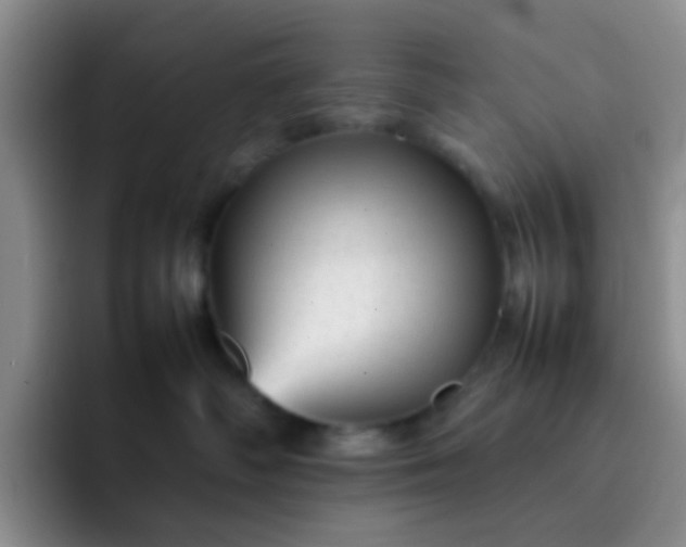 X0000092060334200709262032