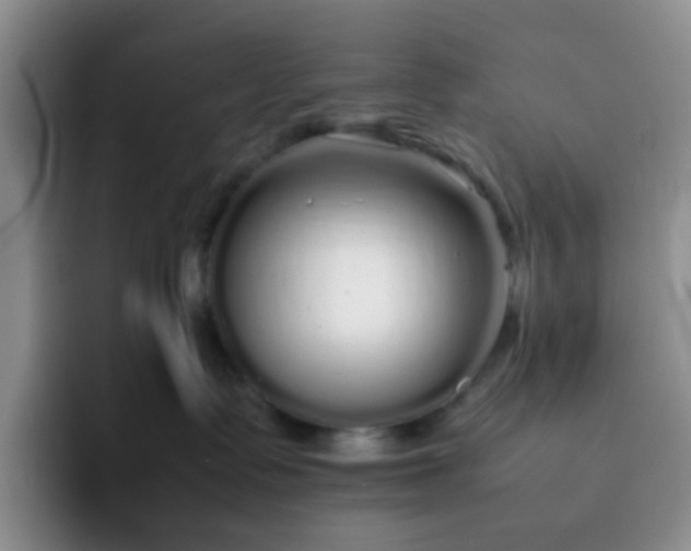 X0000092060335200709262032