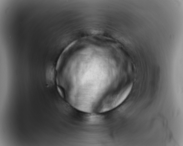 X0000092060336200709262032