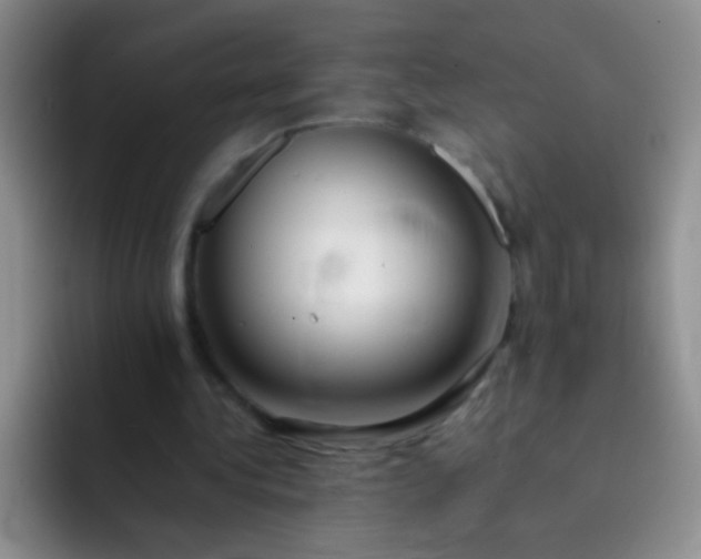 X0000092060340200709262032