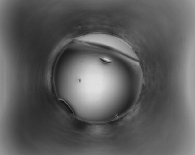 X0000092060341200709262032