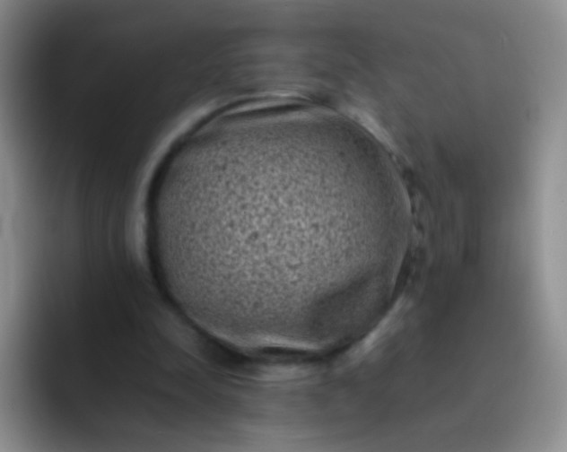 X0000092060342200709262032