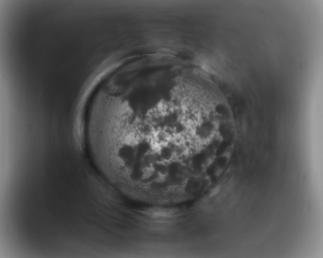 X0000092060343200709262032