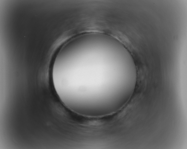 X0000092060344200709262032