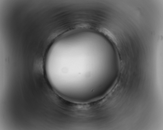 X0000092060345200709262032