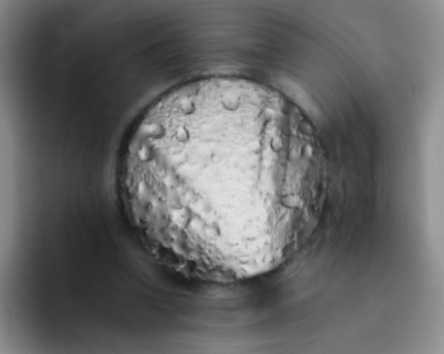 X0000092060346200709262032