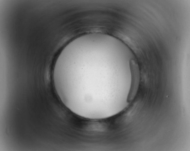 X0000092060347200709262032