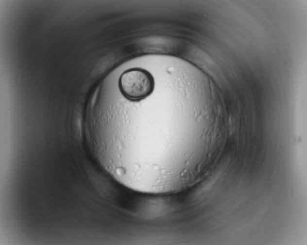 X0000092060349200709262032