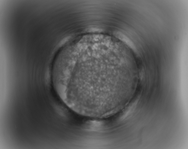 X0000092060352200709262032