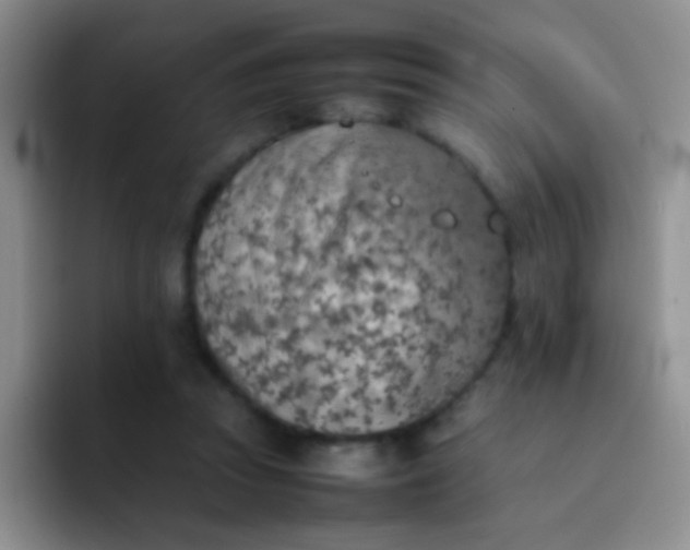 X0000092060353200709262032