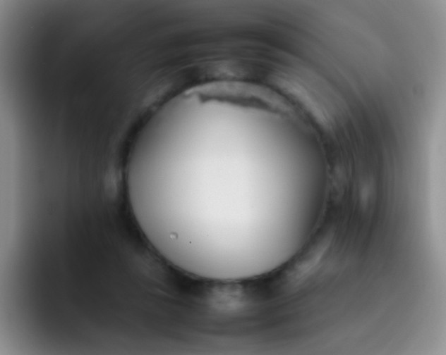 X0000092060355200709262032