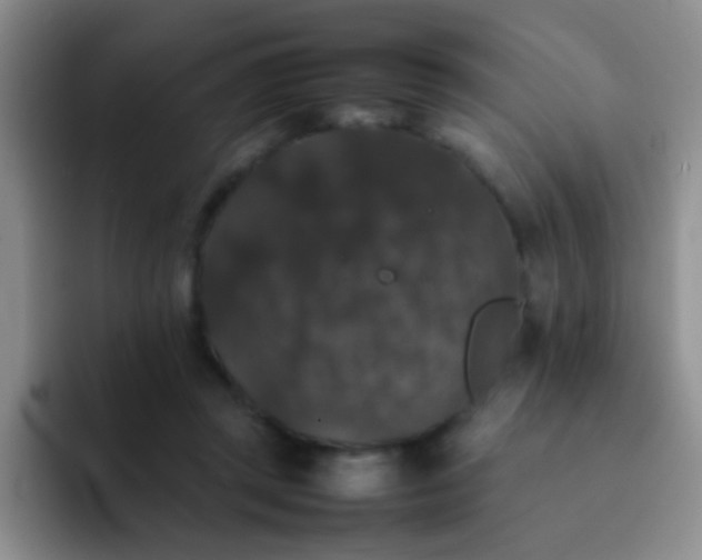 X0000092060357200709262032