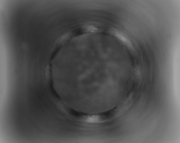 X0000092060361200709262032