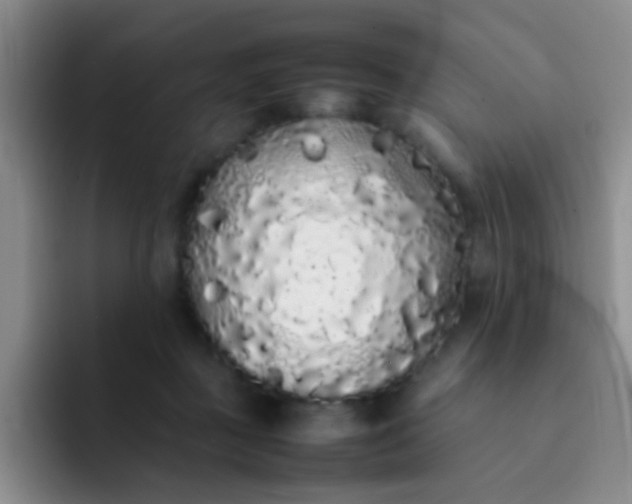 X0000092060363200709262032