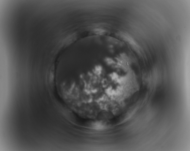 X0000092060365200709262032