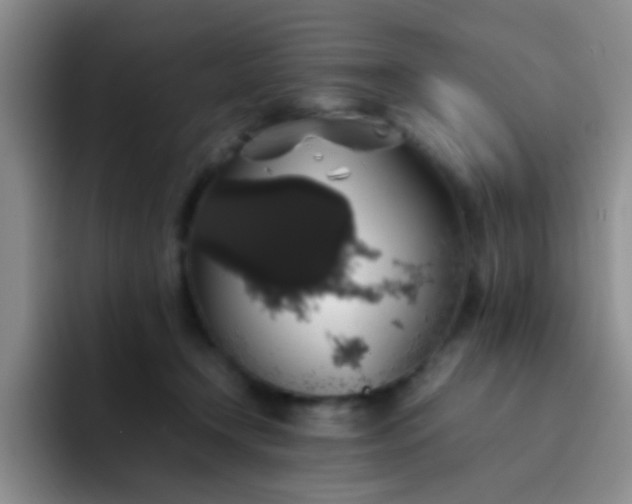 X0000092060366200709262032