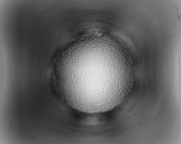 X0000092060369200709262032