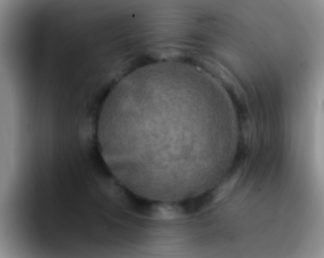 X0000092060372200709262032