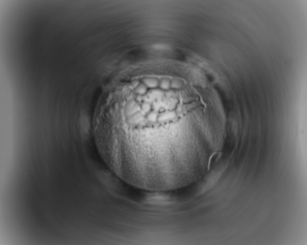 X0000092060380200709262032