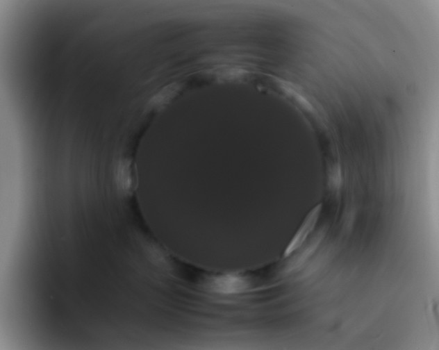 X0000092060383200709262032