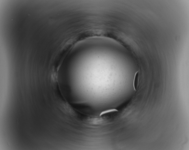 X0000092060384200709262032