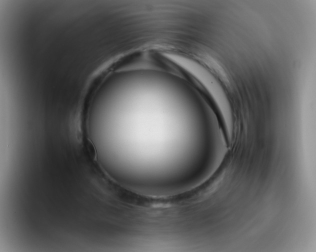 X0000092060388200709262032