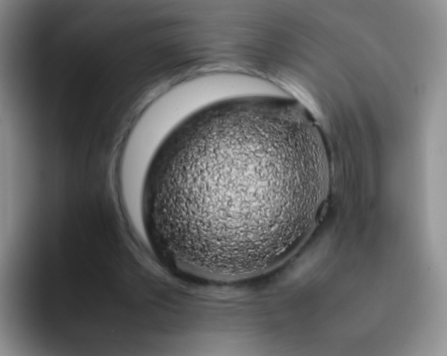 X0000092060389200709262032