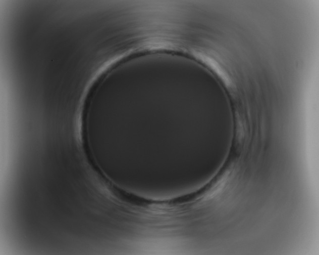 X0000092060391200709262032