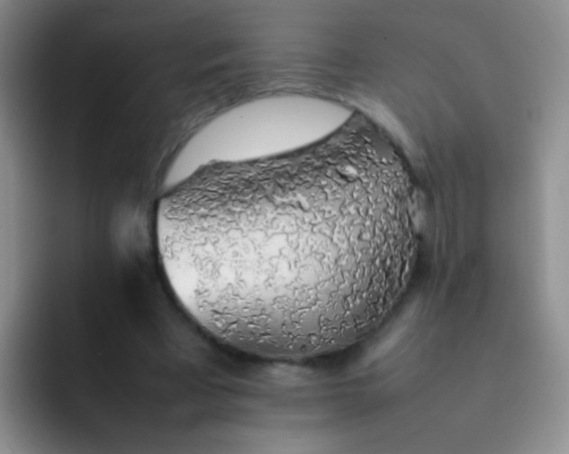 X0000092060393200709262032