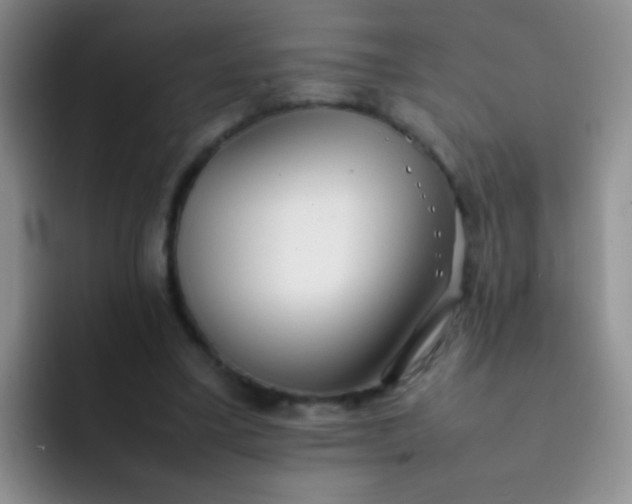 X0000092060395200709262032