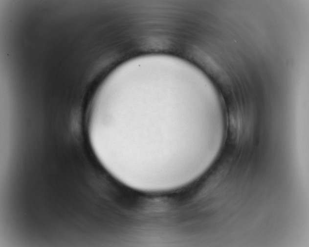 X0000092060396200709262032